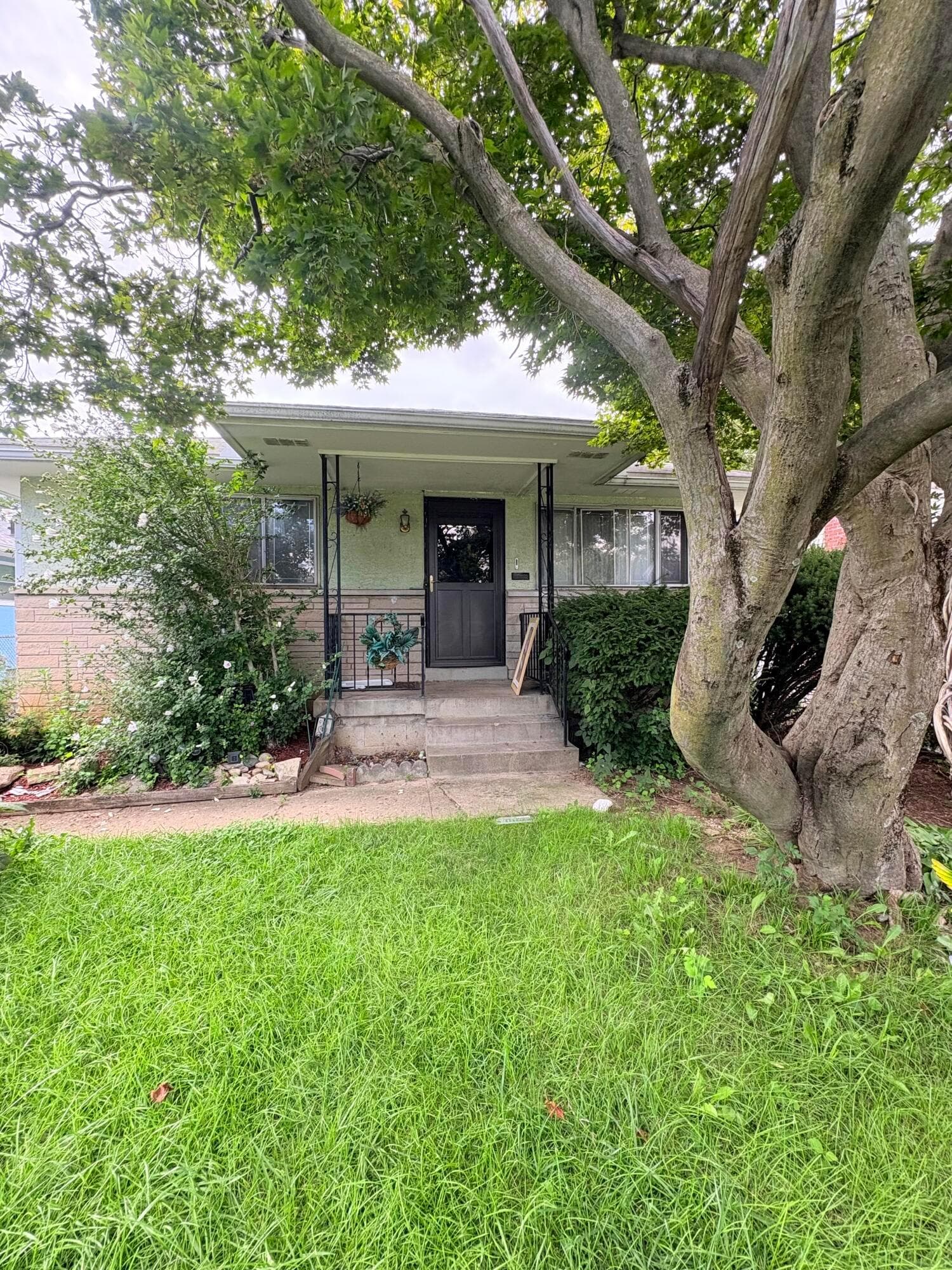 1199 Miller Avenue — photo 1 of 11