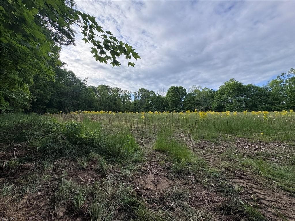 10.530 Walker Hill Road