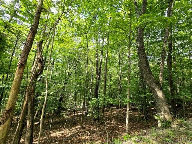 1756 Mohican Lane — photo 1 of 8