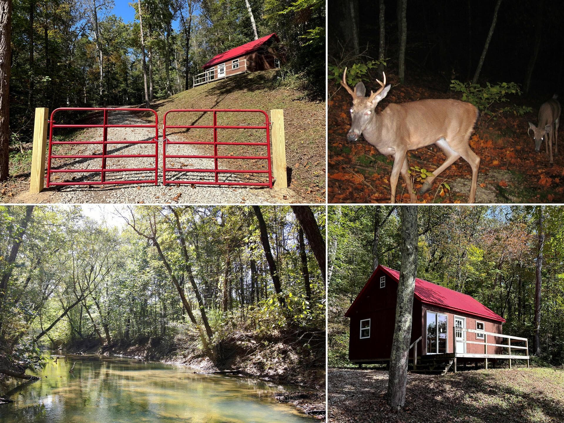 3770 Woodlane Drive
