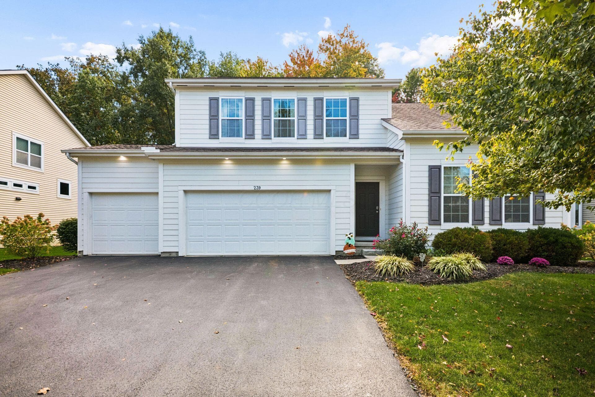 239 Cambridge Road