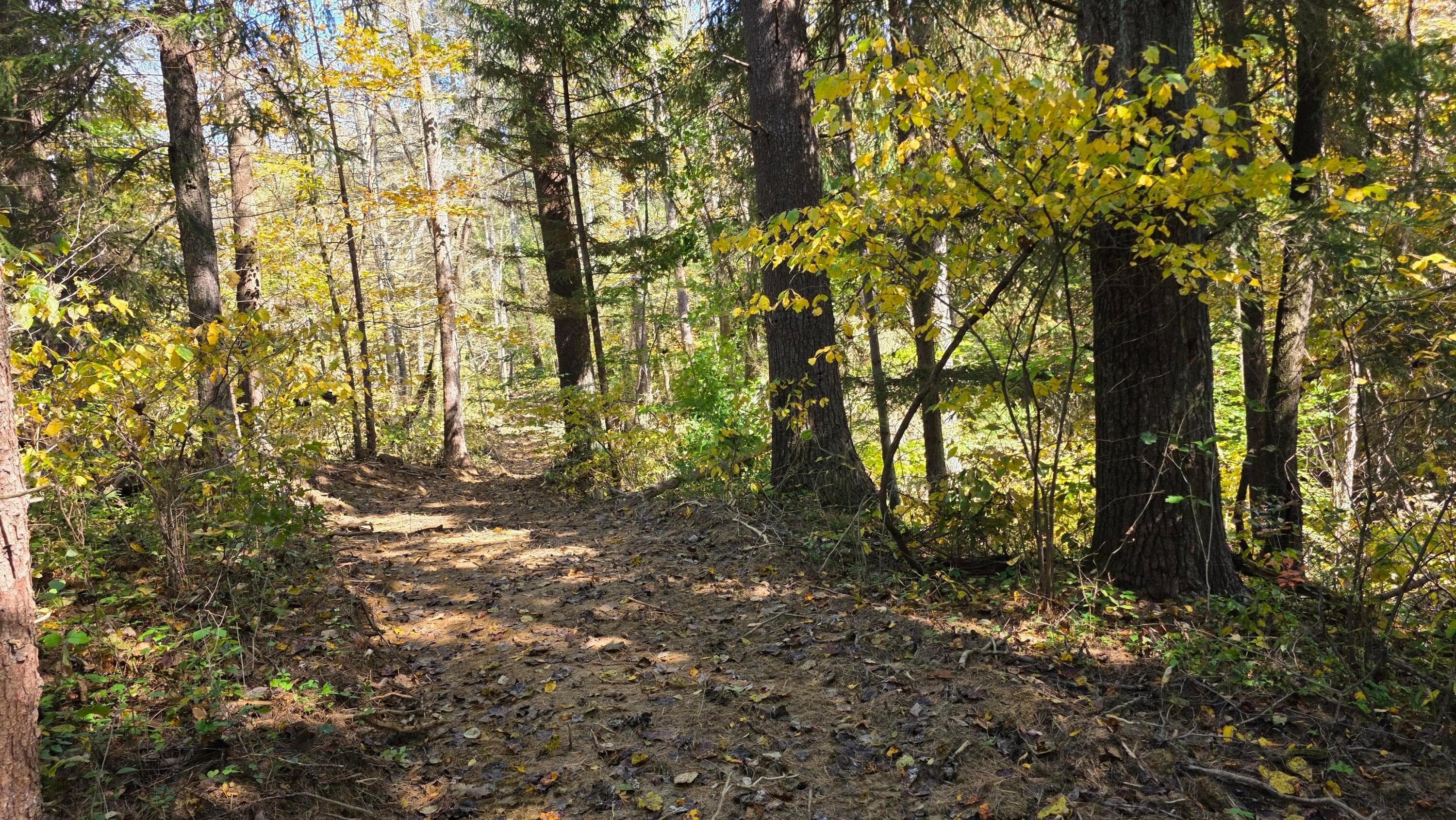 0 Township Road 331