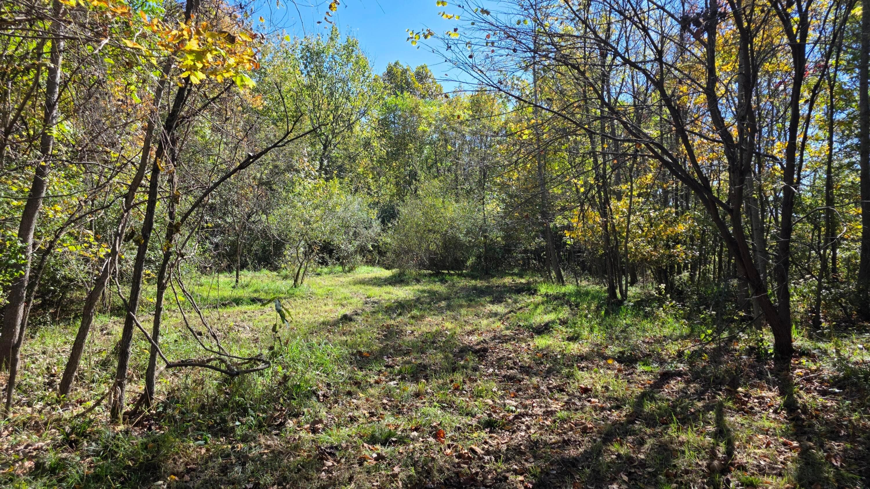 0 Township Road 162