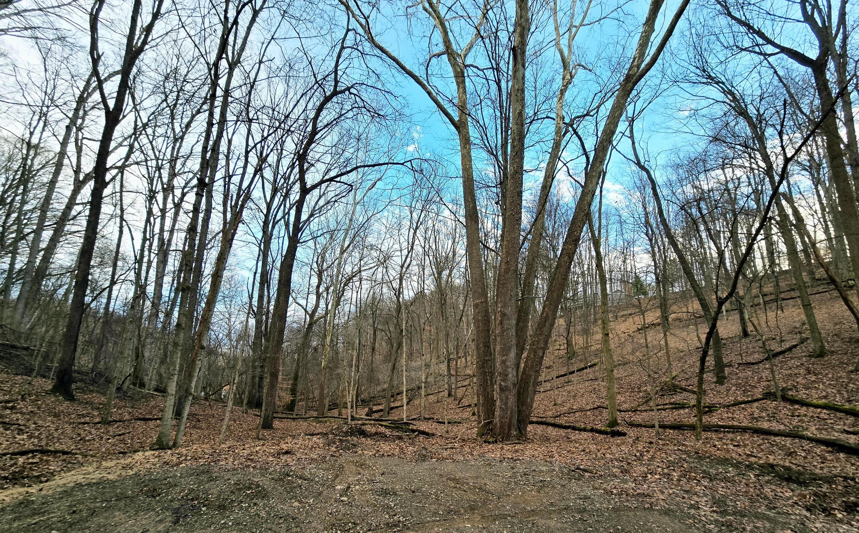 1767 Mohican Court — photo 1 of 12