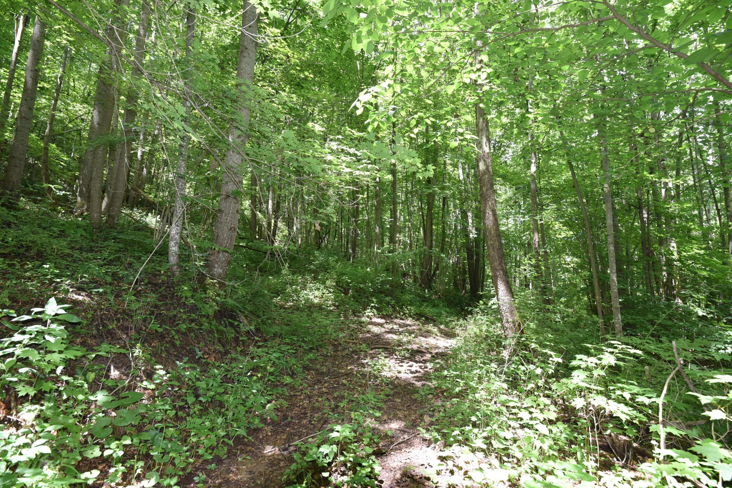 23769 State Route 327 — photo 1 of 29