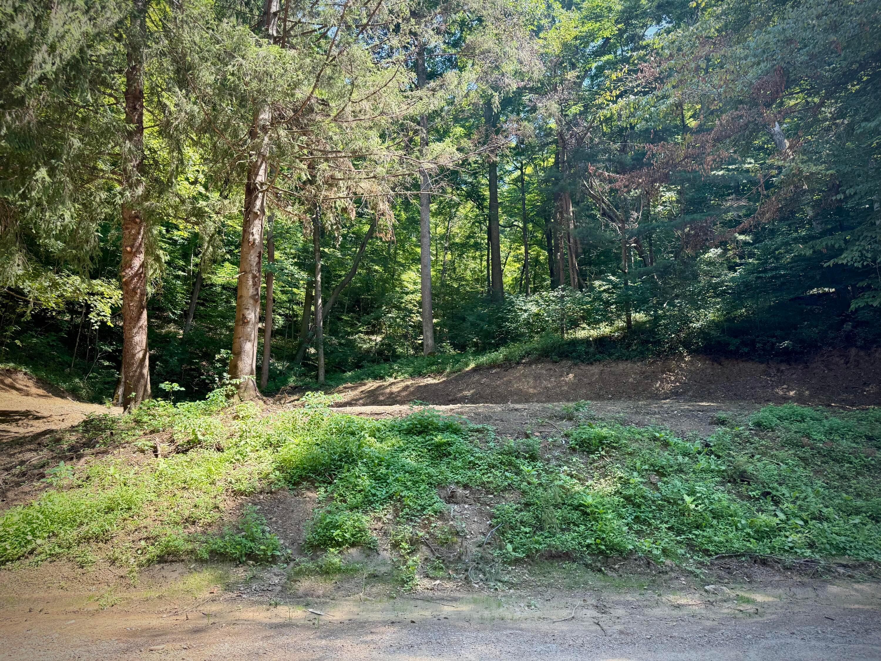 31700 Dixon Mill Road — photo 1 of 6